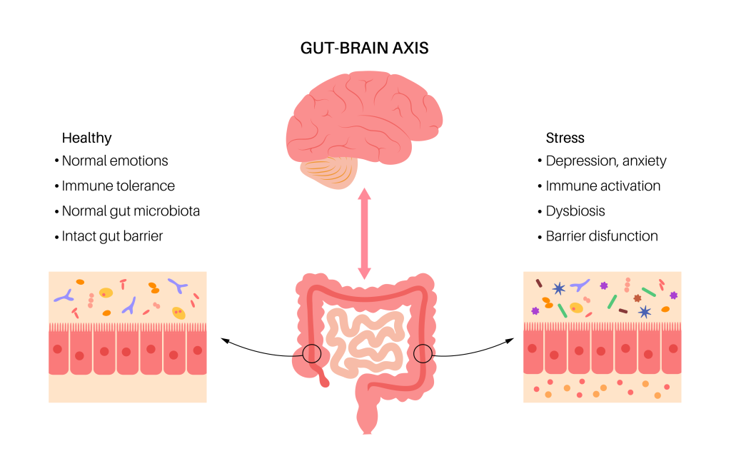 Psychobiotics and the view of the gut brain axis